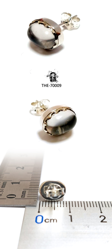 Vo[@sAX THE-70009