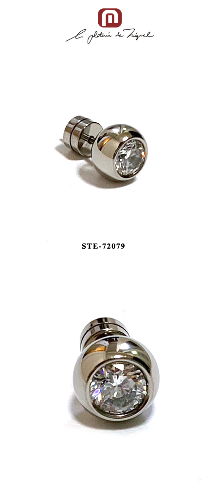 Stainless Earring & Earcuf STE-72079