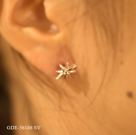 シルバー ピアス GDE-56186 SV