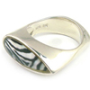 Zebra Resin Ring シルバー 指輪 / リング シルバー 指輪 / リング PRR-876