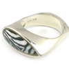 Zebra Resin Ring Vo[ w / O yAEACe PRR-876