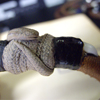 Real Snake Leather Bracelet Leather Keyholder GDB-41590