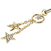 Golden Luminary  ISS-010