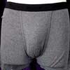 Gray Boxer Brief  / A_[EFA Vo[ Wb|C^[ WWBX-1971 GY L